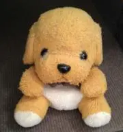 Nokkoの画像