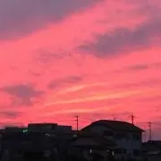 はるくの画像