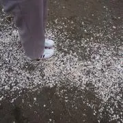 。。。の画像