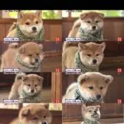 あ