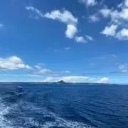 ロハスの画像