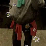 Nicoの画像