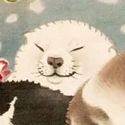 たんたんの画像