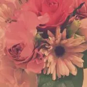 いくたく