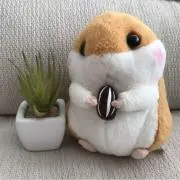 ☆ののママ★
