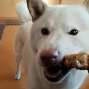 ┌(┌・д・)┐ムゲェ…