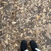 プロフ読んでね✴︎nekoの画像