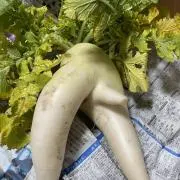Ryooo