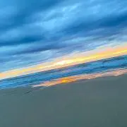 RIN 【断捨離セール中】の画像