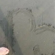 raraa_aの画像