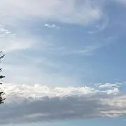 ちゃとら⭐の画像