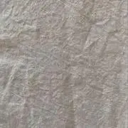 Rの画像
