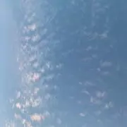 ぴぴぴの画像