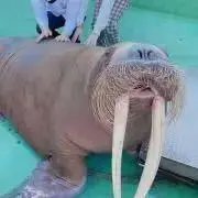 なあさんの画像