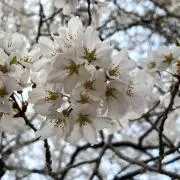 まるなかの画像