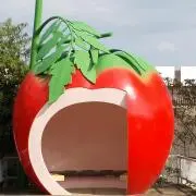 くみこの画像