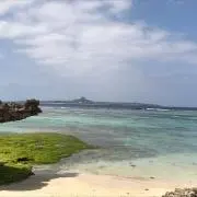 ゼン~断捨離中~