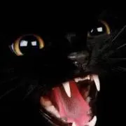 フドウ