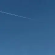 ミミ