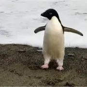 あああの画像