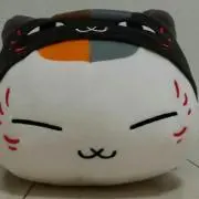 にゃんこ先生