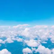ハナの画像