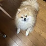 まめ