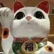 かいちゃんの画像