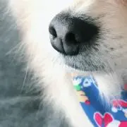 空