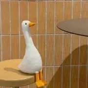 すいの画像