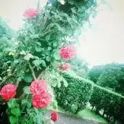 エムアイの画像