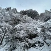 WABISABI 大阪の画像
