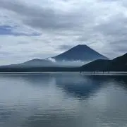 mipo
