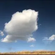 ° × 笑 × °の画像