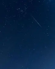 キャンベルの画像