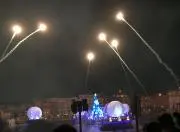 ポコの画像