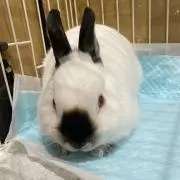 ゆみ