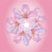 まる　購入前にプロフ必見　簡易包装で発送の画像