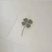♡.の画像