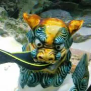 はなひげうつぼの画像
