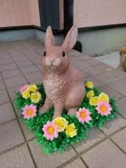 あおい