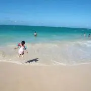 amyの画像