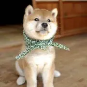 まさひろ