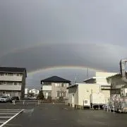 シーバの画像