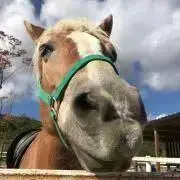 あさひの画像