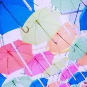 ももの画像