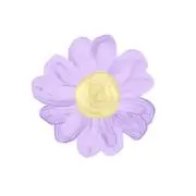 rara