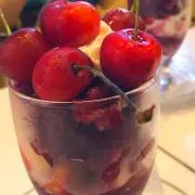 ネコプュの画像