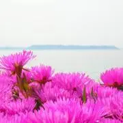 noriの画像