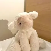 めえめえの画像